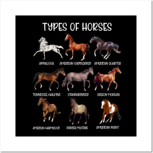 Types Of Horses, Horse Breed, Horseback Riding Posters and Art